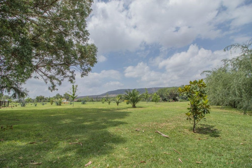 Imagen 12 de 30 de Rancho Morera En Venta, Carretera A Dolores Hidalgo En San M