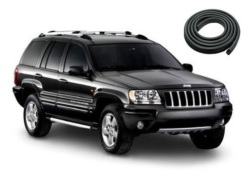 Jeep Grand Cherokee 1999/05 Burlete Puerta Trasera Izquierda