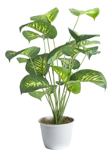 Planta Artificial 65 Cm  - Dieffenbachia Deco Hogar