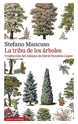 La Tribu De Los Árboles