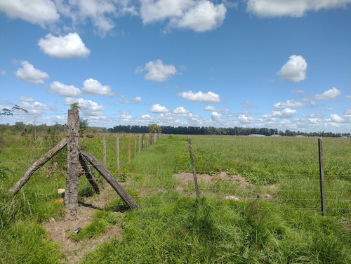 Campo En Venta Sobre Ruta 6, Marcos Paz