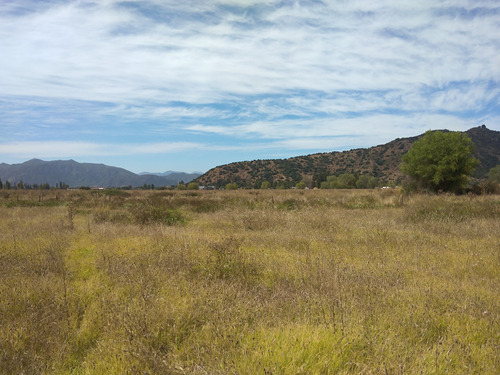 Campo De 10 Ha Con Agua, Acceso Pavimentado. Pichidegua Vir.