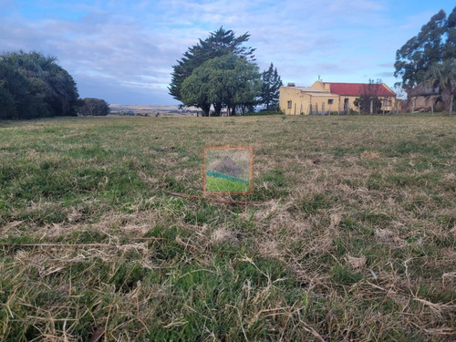 Campo De 34 Hás Con Casa Ruta 12 Pueblo Edén