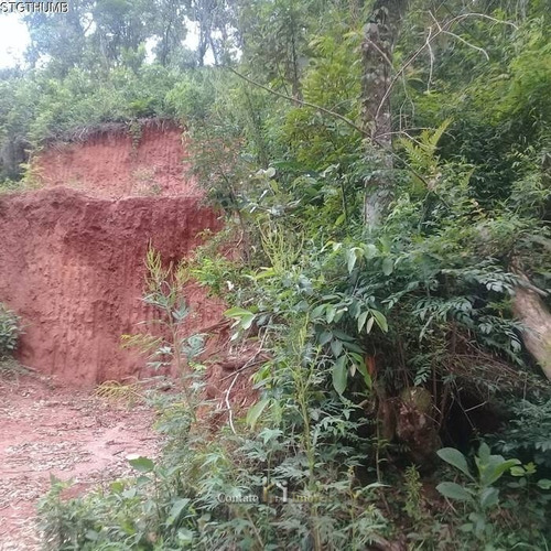 Imagem 6 de 7 de Terreno À Venda No Jardim Paulista Em Atibaia - Te0246-1