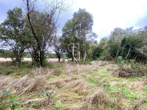 Acceso Al Río Maullin | En Condominio