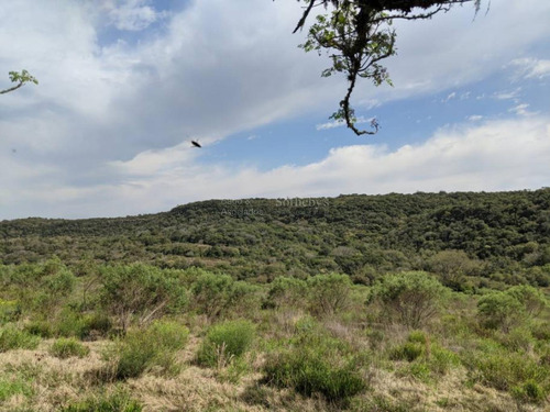 Chacra En El Departamento De Rivera