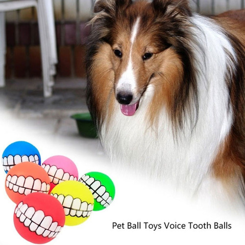 5pcs Perros Juguetes De Entrenamiento Cachorro Squeaky Sound 5pcs Perros Juguetes De Entrenamiento Cachorro Squeaky Sound