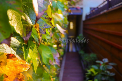 Imagen 3 de 10 de En Venta - Casa Colonia Del Sacramento