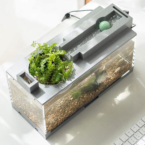 Acuario De Micropaisaje, Acuario De Escritorio, Acuario B