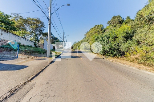 Imagem 9 de 12 de Terreno Em Condominio - Vila Nova - Ref: 43561 - V-58465733