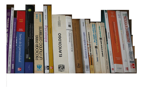 El Psicologo , Formacion , Ejercicio Profesional , Prospe (Usado)
