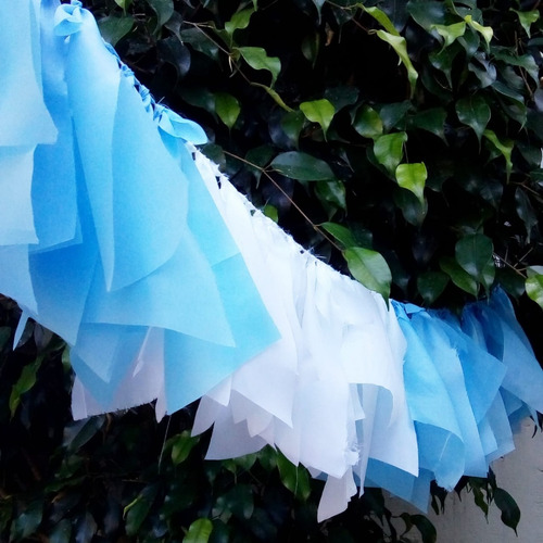 Imagen 2 de 2 de Guirnalda Bandera Argentina X 10 Unidades