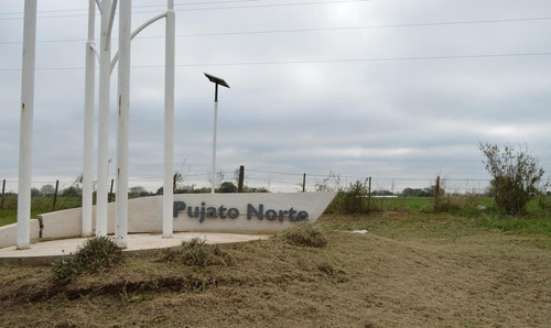 Imagen 9 de 10 de Terreno - Pujato Norte