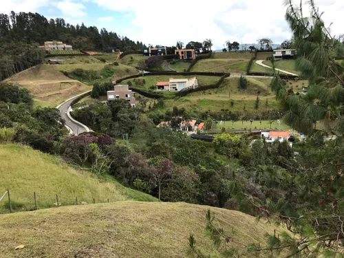 3 Lotes Alto De Las Palmas (desde 3.100m/4.200m Y 4.500m)
