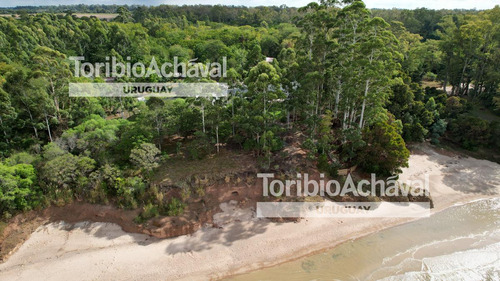 Destacada Casa Sobre La Costa En Balneario El Ensueño