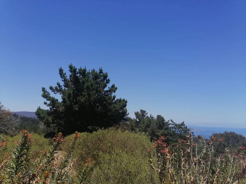 Parcela De Agrado, Km 4 1/2, Vista Al Mar, Laguna Verde