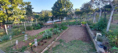 Imagem 10 de 13 de 3.000 M², 03 Dormitórios, Piscina, Pomar E Horta !!