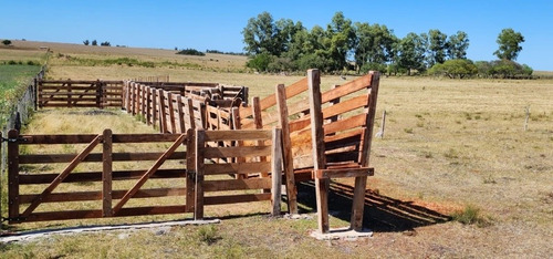 Imagen 14 de 30 de Excelente Campo Con Muy Buenas Mejoras .