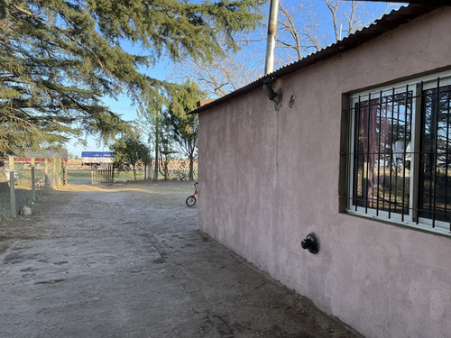 Imagen 12 de 20 de En Venta!!! Casa Quinta Frente A Rn 188, Km 153. (junín - Ba)