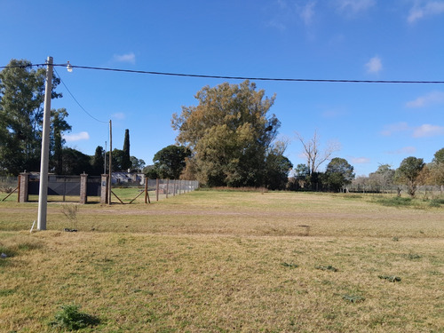 Terreno 655m2- Oportunidad Unica, Carmen De Areco