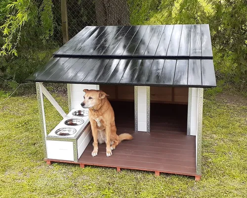 Una noche medio Para buscar refugio Cuchas Para 2 Perros Grandes | MercadoLibre 📦