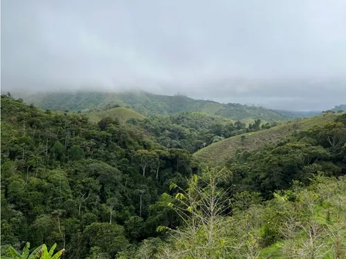 Venta De Finca En Vereda Paramillo, Fresno, Tolima