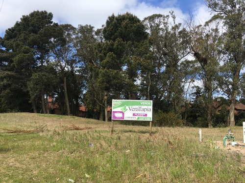 Lote Multifamiliar- Av. Shaw E/palometa Y Besugo