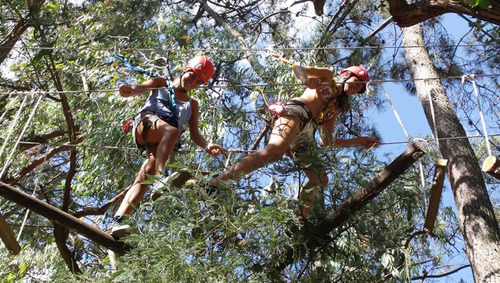 Imagen 8 de 12 de Solanas Forest Resort. 2 Amb. 4 Personas Disponible A Partir De Marzo Hasta Navidad