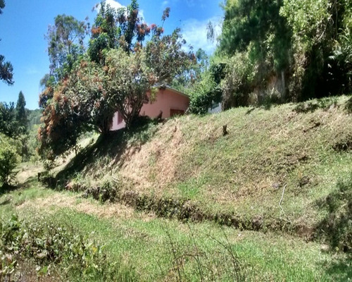 Imagem 16 de 23 de Sítio Rico Em Água, Paraíso Ecológico! - 156 - 32982609