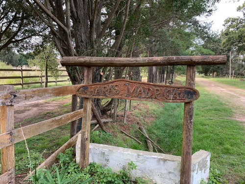 Imagen 6 de 30 de 51 Ha. Haras Madrigal En Zona Rural De Zarate