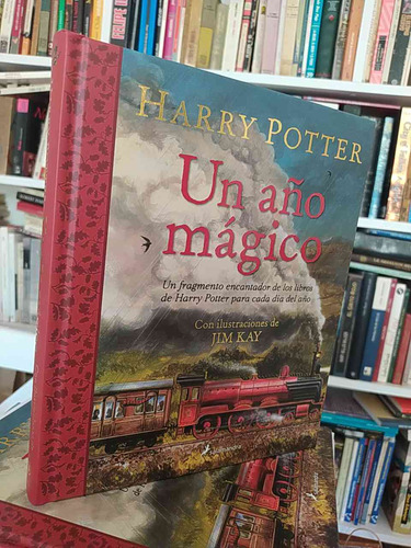 Harry Potter: Un Año Mágico   Ilustraciones De Jim Kay  Sala