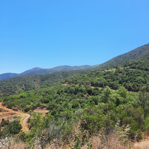 Venta Terreno Reserva Rucalhue, Quebrada Del Ají, Quillota
