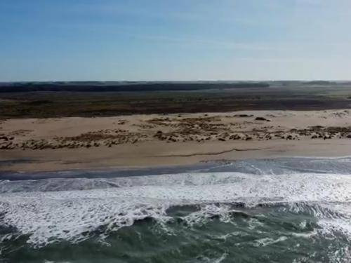 Hectáreas Únicas: Acceso Directo A La Ruta 11 Y Al Mar - Id 46852