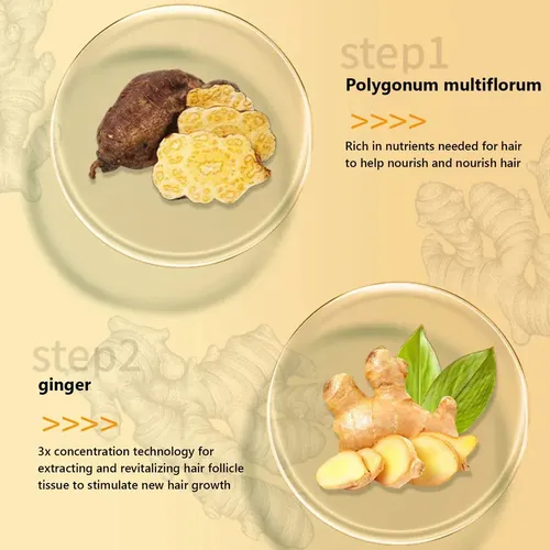 ChampĂș Para El Cabello Yaopin Black Ganoderma Polygonum Mul.