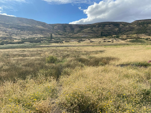 Estancia Manantiales De Collón Cura - Patagonia Argentina