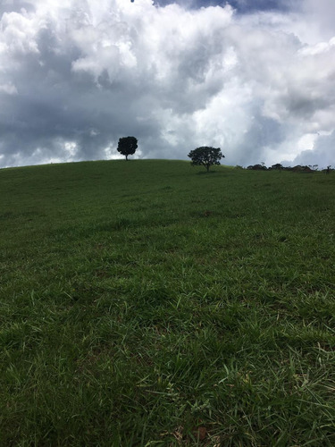 Z23-vendo Terreno Em De 1000m2 Por Apenas 40mil