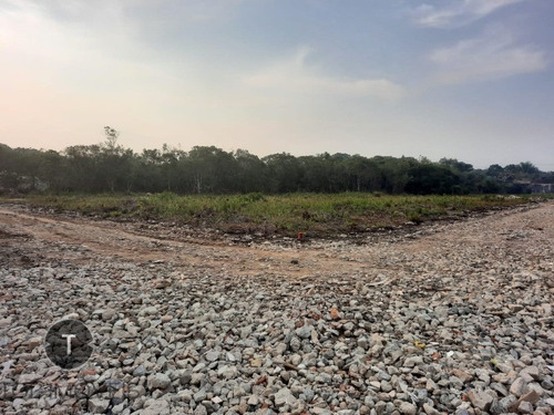 Imagem 12 de 12 de Terreno A Venda No Bairro Tupy Em Itanhaém, Com Entrada De R$ 4.000,00 Reais E Parcelas De R$ 549,00 Reais Fixas. - Te00040 - 70170433