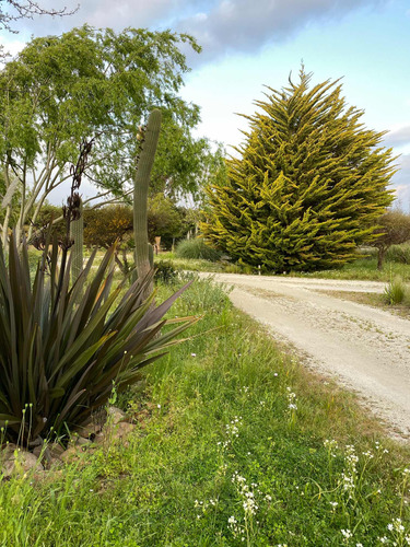 Exclusiva Parcela Con Acceso Privado A Embalse Los Aromos