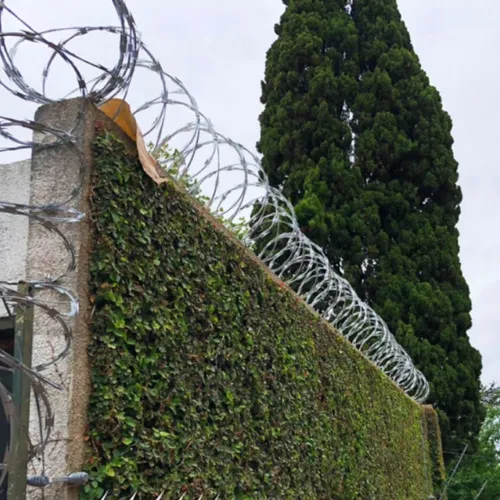 Concertina Doble Galvanizada 45cm De Diametro 8mts Nubit.uy en venta en