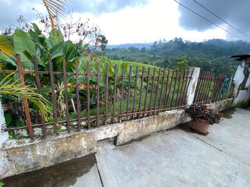 Excelente Finca En Chiguara Mérida