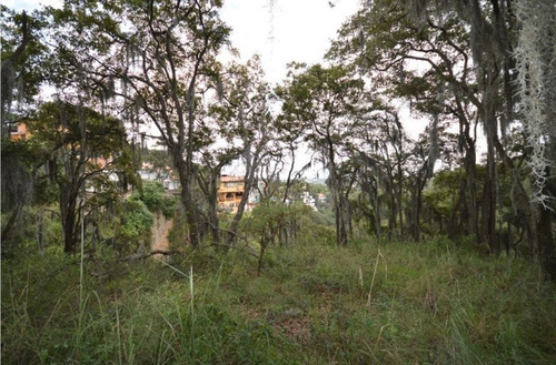 Imagen 6 de 9 de Terreno Venta Condado De Sayavedra, Blvd. De La Torre