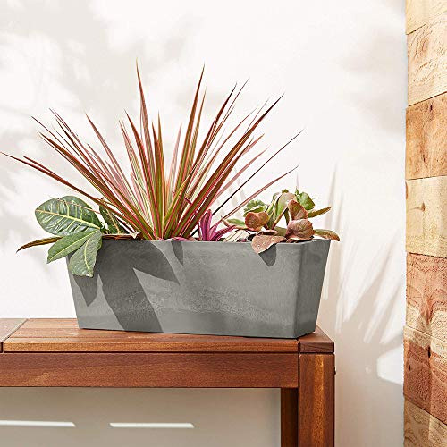 Arcadia Garden Products Psw U45ct Simplicity Window Box, 17.