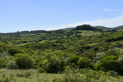 Venta Chacra Sierra Minas Ruta 60 Pan De Azucar Minas