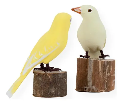 Aves de Madeira: pareja de canarios (21a7)