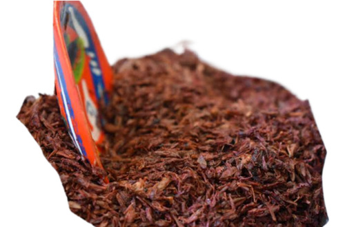 Chapulines Oaxaqueños Gourmet Del Día Chicos 1 Kg