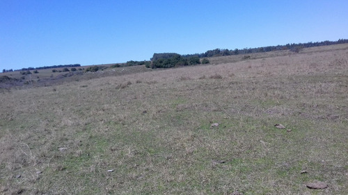913 Has Invernada / Agric Salto Ruta 3 A 60 Min Ciudad Salto