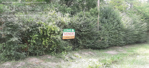 Imagen 3 de 10 de Amplio Lote De 841 M2, A Mts. De Barrio Cerrado La Arbolada