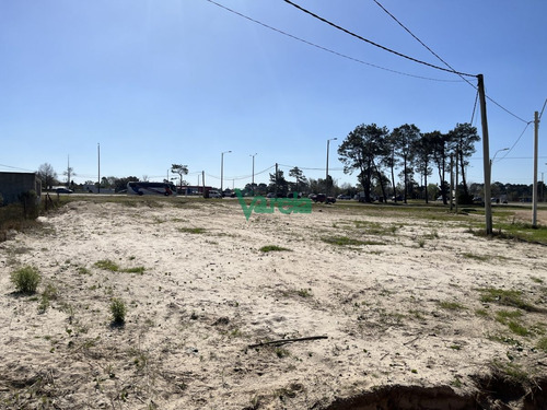 Imagen 7 de 13 de Terrenos En Venta El Pinar Vista Sobre Interbalnearia. (financia)