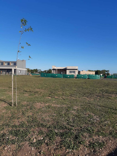 Imagen 3 de 8 de Venta Lote Santa Lucía