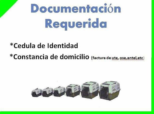 Imagen 2 de 3 de Alquiler Y Venta De Transportadoras Jaulas Perros Mudanzas